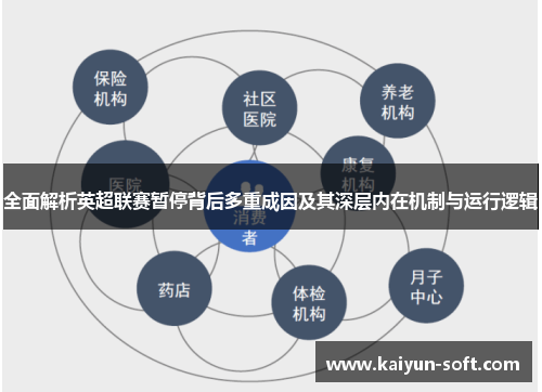 全面解析英超联赛暂停背后多重成因及其深层内在机制与运行逻辑 全面解析英超联赛暂停背后多重成因及其深层内在机制与运行逻辑