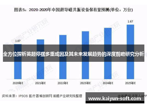 全方位探析英超停摆多重成因及其未来发展趋势的深度前瞻研究分析 全方位探析英超停摆多重成因及其未来发展趋势的深度前瞻研究分析
